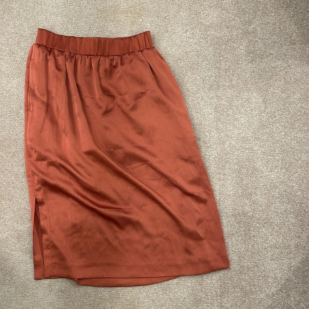 Ann Taylor Slip Skirt